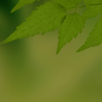 What Is Mindfulness and Why Does it Matter in My Life?
